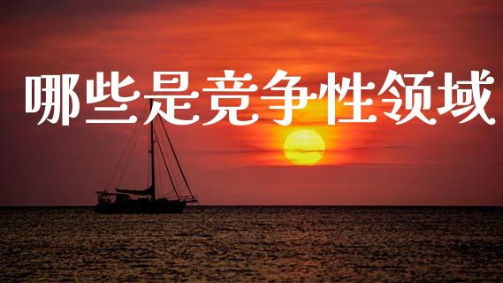哪些是竞争性领域_https://wap.fcdydaikuan.com_投资策略_第1张