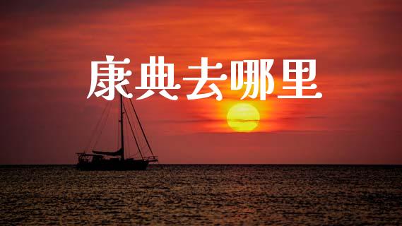 康典去哪里_https://wap.fcdydaikuan.com_投资策略_第1张