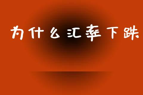 为什么汇率下跌_https://wap.fcdydaikuan.com_期货品种_第1张