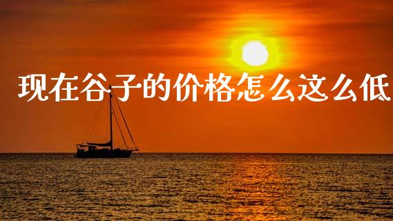 现在谷子的价格怎么这么低_https://wap.fcdydaikuan.com_投资策略_第1张