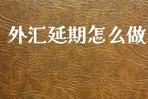 外汇延期怎么做_https://wap.fcdydaikuan.com_国际投资_第1张