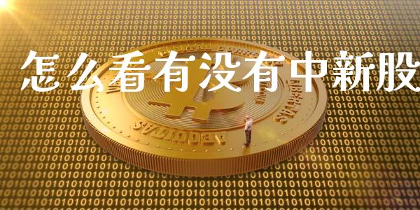怎么看有没有中新股_https://wap.fcdydaikuan.com_理财顾问_第1张