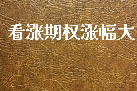 看涨期权涨幅大_https://wap.fcdydaikuan.com_投资策略_第1张