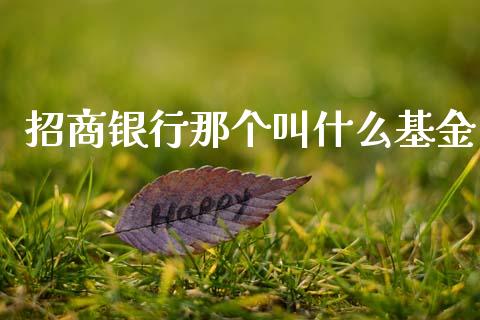 招商银行那个叫什么基金_https://wap.fcdydaikuan.com_期货品种_第1张
