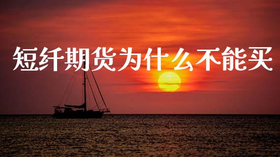 短纤期货为什么不能买_https://wap.fcdydaikuan.com_国际投资_第1张