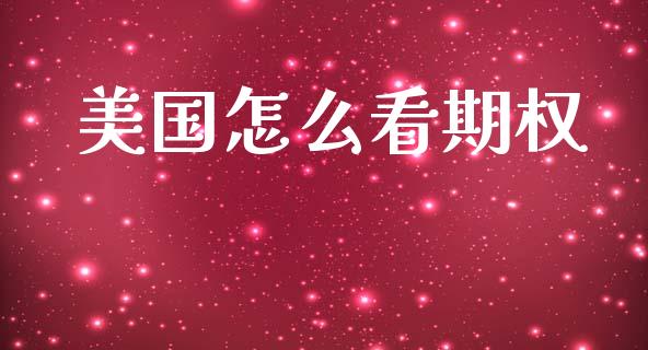 美国怎么看期权_https://wap.fcdydaikuan.com_国际投资_第1张