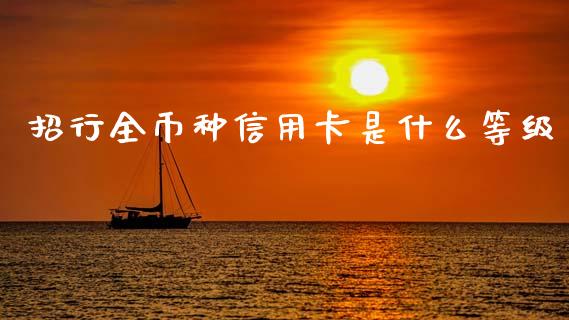 招行全币种信用卡是什么等级_https://wap.fcdydaikuan.com_期货品种_第1张