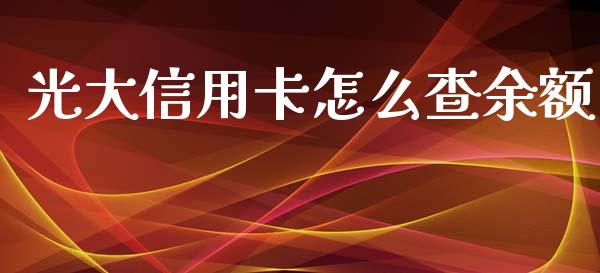 光大信用卡怎么查余额_https://wap.fcdydaikuan.com_理财顾问_第1张
