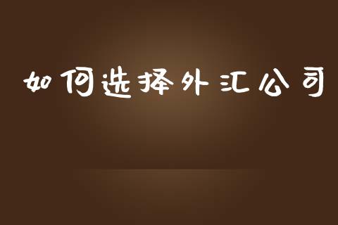 如何选择外汇公司_https://wap.fcdydaikuan.com_国际投资_第1张