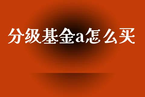 分级基金a怎么买_https://wap.fcdydaikuan.com_期货品种_第1张