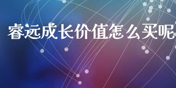 睿远成长价值怎么买呢_https://wap.fcdydaikuan.com_金融机构_第1张