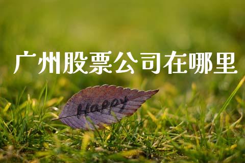 广州股票公司在哪里_https://wap.fcdydaikuan.com_期货品种_第1张