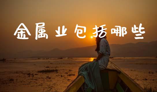金属业包括哪些_https://wap.fcdydaikuan.com_期货品种_第1张