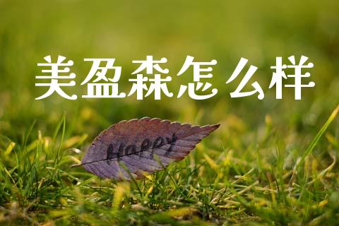 美盈森怎么样_https://wap.fcdydaikuan.com_新股数据_第1张