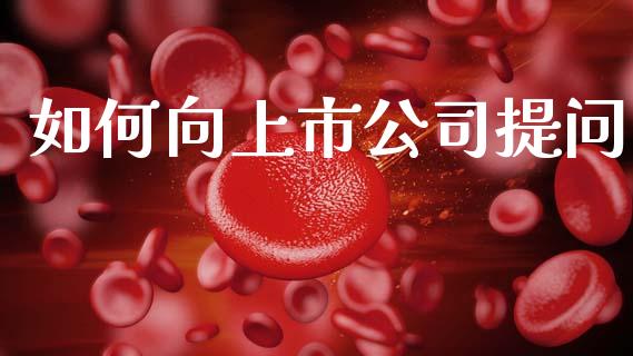 如何向上市公司提问_https://wap.fcdydaikuan.com_金融机构_第1张