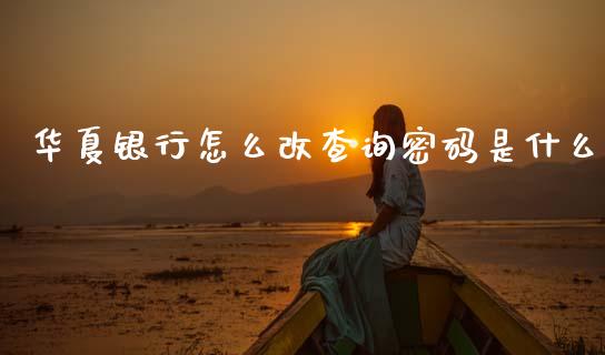 华夏银行怎么改查询密码是什么_https://wap.fcdydaikuan.com_金融机构_第1张