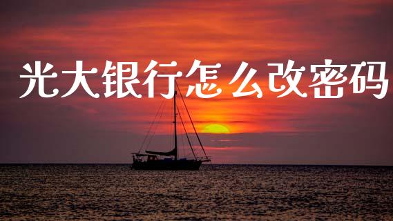 光大银行怎么改密码_https://wap.fcdydaikuan.com_投资策略_第1张