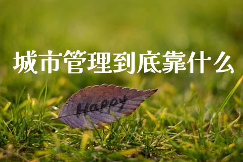 城市管理到底靠什么_https://wap.fcdydaikuan.com_期货品种_第1张
