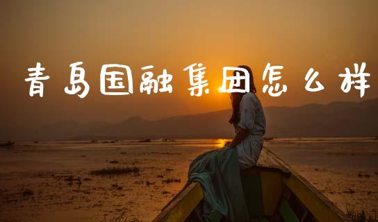 青岛国融集团怎么样_https://wap.fcdydaikuan.com_国际投资_第1张