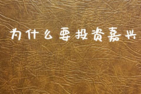 为什么要投资嘉兴_https://wap.fcdydaikuan.com_理财顾问_第1张