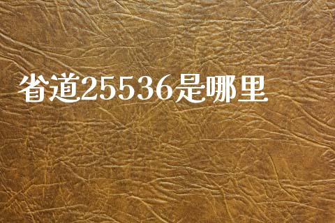 省道25536是哪里_https://wap.fcdydaikuan.com_国际投资_第1张