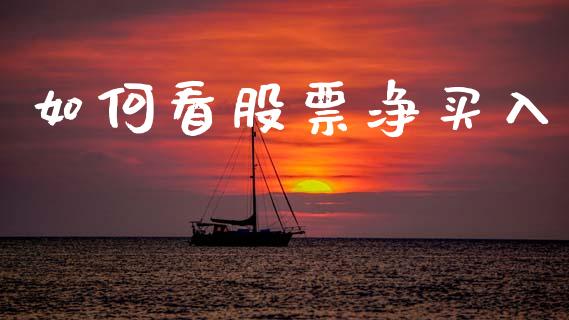 如何看股票净买入_https://wap.fcdydaikuan.com_金融机构_第1张