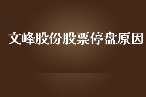 文峰股份股票停盘原因_https://wap.fcdydaikuan.com_期货品种_第1张