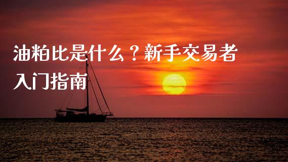 油粕比是什么？新手交易者入门指南_https://wap.fcdydaikuan.com_新股数据_第1张