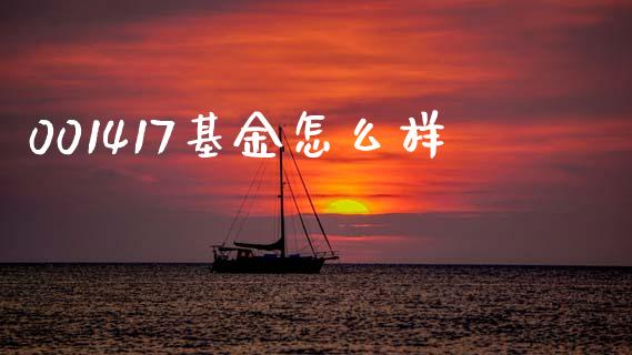 001417基金怎么样_https://wap.fcdydaikuan.com_金融机构_第1张