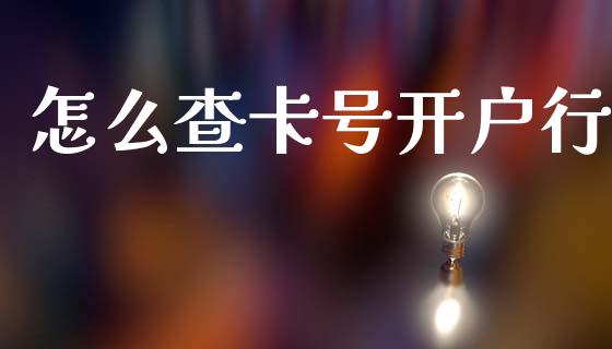 怎么查卡号开户行_https://wap.fcdydaikuan.com_国际投资_第1张