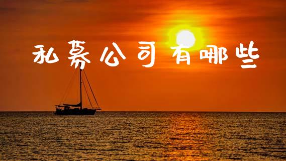 私募公司有哪些_https://wap.fcdydaikuan.com_新股数据_第1张