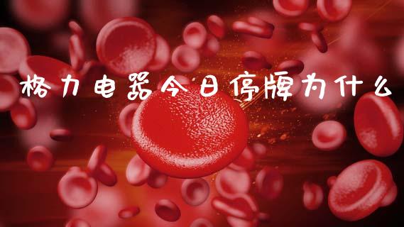 格力电器今日停牌为什么_https://wap.fcdydaikuan.com_新股数据_第1张