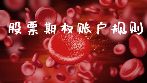 股票期权账户规则_https://wap.fcdydaikuan.com_投资策略_第1张
