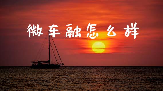 微车融怎么样_https://wap.fcdydaikuan.com_金融机构_第1张