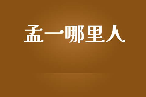 孟一哪里人_https://wap.fcdydaikuan.com_国际投资_第1张