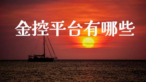 金控平台有哪些_https://wap.fcdydaikuan.com_国际投资_第1张