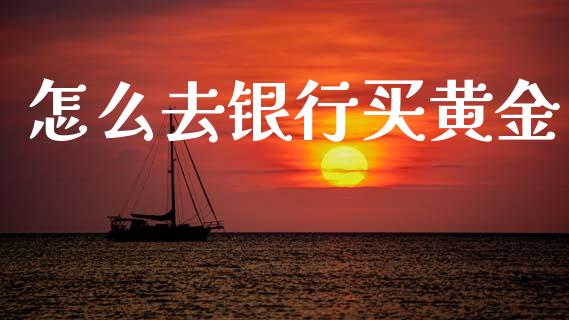 怎么去银行买黄金_https://wap.fcdydaikuan.com_理财顾问_第1张