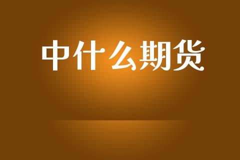 中什么期货_https://wap.fcdydaikuan.com_投资策略_第1张
