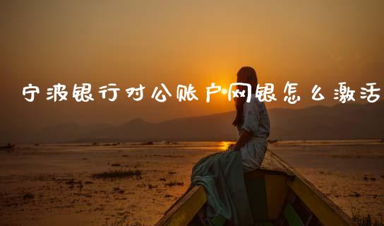 宁波银行对公账户网银怎么激活_https://wap.fcdydaikuan.com_国际投资_第1张