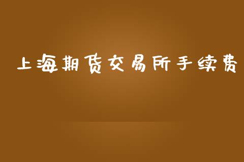 上海期货交易所手续费_https://wap.fcdydaikuan.com_理财顾问_第1张