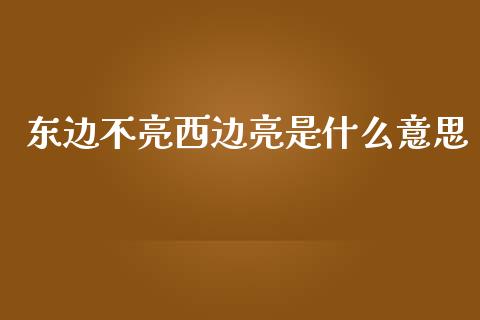 东边不亮西边亮是什么意思_https://wap.fcdydaikuan.com_理财顾问_第1张
