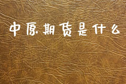 中原期货是什么_金融机构_第1张_国际投资_理财顾问_投资策略_金融机构 中原期货是什么_https://wap.fcdydaikuan.com_金融机构_第1张