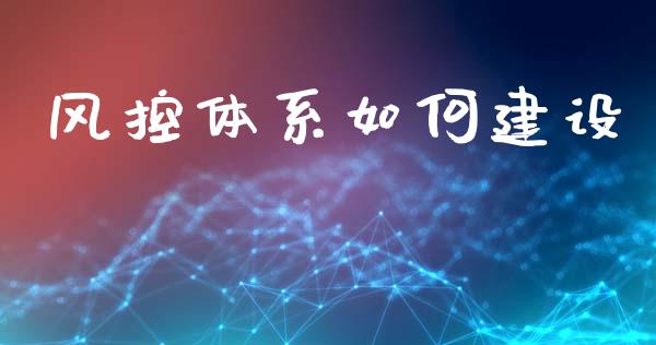 风控体系如何建设_https://wap.fcdydaikuan.com_期货品种_第1张