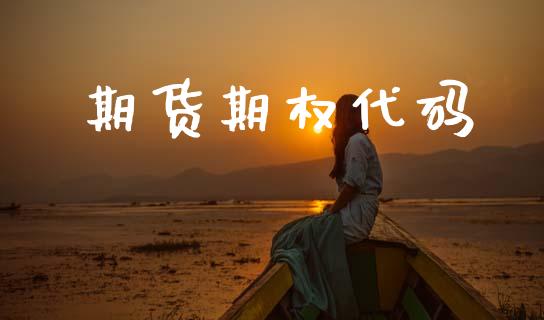 期货期权代码_https://wap.fcdydaikuan.com_新股数据_第1张