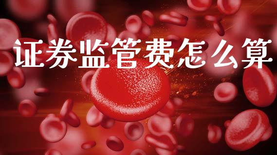 证券监管费怎么算_https://wap.fcdydaikuan.com_理财顾问_第1张