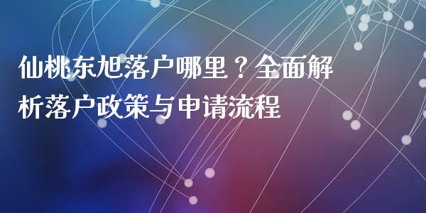 仙桃东旭落户哪里？全面解析落户政策与申请流程_https://wap.fcdydaikuan.com_投资策略_第1张