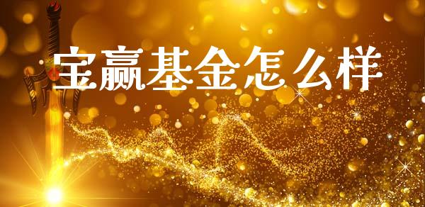 宝赢基金怎么样_https://wap.fcdydaikuan.com_金融机构_第1张