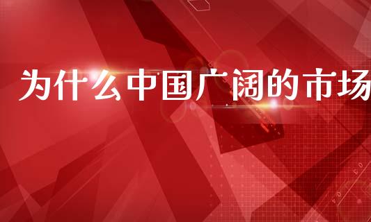 为什么中国广阔的市场_https://wap.fcdydaikuan.com_期货品种_第1张