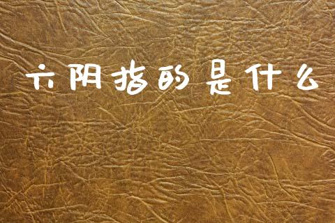 六阴指的是什么_https://wap.fcdydaikuan.com_国际投资_第1张