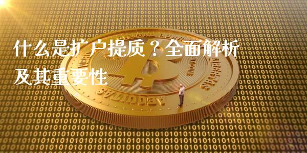 什么是扩户提质？全面解析及其重要性_https://wap.fcdydaikuan.com_国际投资_第1张